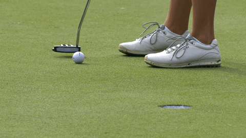 Golf-ball-in-hole GIFs - Get the best GIF on GIPHY